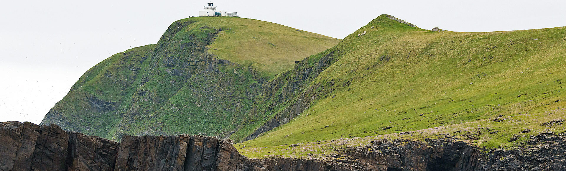 https://www.hebrideanadventures.co.uk/wp-content/uploads/2024/10/NorthRona_GAE1790.jpg